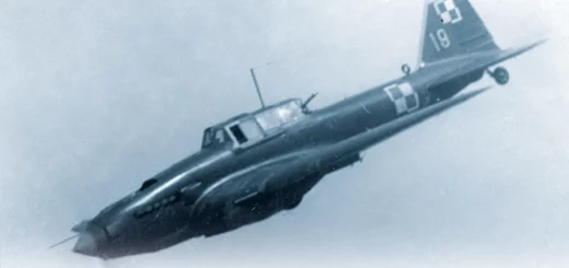Samolot szturmowy Iljuszyn Ił-2 : Książka ta, to kompleksowa monografia poświęcona jednemu z najważniejszych samolotów szturmowych używanych w polskim lotnictwie.