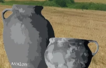 Kultura oksywska na prawobrzeżnym Dolnym Powiślu. Historia badań i stan źródeł : Od czasów II wojny światowej region opisany w książce dr Mileny Danielewskiej-Teska, był swego rodzaju „peryferią badawczą”, nieco na uboczu od głównych obszarów dociekań naukowych.