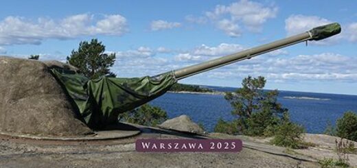 Obronność szwedzka w XIX i XX wieku Fortyfikacje i system obrony wybrzeża 1820–1990 : Szwedzkie umocnienia przedstawione zostały w sposób systemowy zarówno w wymiarze operacyjno-taktycznym, jak i społeczno-politycznym, łącznie z ewolucją w czasie poszczególnych obiektów i koncepcji. Nie chcąc rozbudowywać pracy do rozmiarów całościowej monografii szwedzkiego systemu obronnego, niektóre wątki niezwiązane bezpośrednio z budownictwem obronnym przedstawiłem ogólnie.