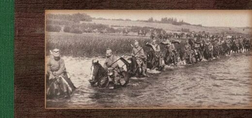 Przełamanie linii Narwii : książka Gustawa Meyera „Der Durchbruch am Narew”, przetłumaczona przez Jacka Czaplickiego, to opracowanie na temat operacji sił niemieckich w północno-wschodniej części obecnego województwa mazowieckiego, która miała miejsce w lipcu i sierpniu 1915 r.