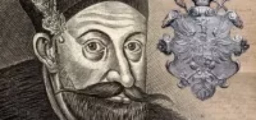 Od królewskiego faworyta do opozycjonisty. Działalność polityczna i wojskowa Krzysztofa Radziwiłła „Pioruna” (1547–1603) : Krzysztof Radziwiłł, zwany „Piorunem” (1547–1603), należał do czołowych magnatów litewskich drugiej połowy XVI i początku XVII wieku.
