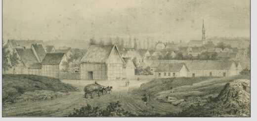 Węgorzyno. Dzieje pomorskiego miasta od późnego średniowiecza do końca II wojny światowej (1460–1945) : monografia miasta Węgorzyno pióra Pawła Guta kierownika oddziału II Archiwum Państwowego w Szczecinie. Monografia obejmuje okres od władzy książąt pomorskich do 1945 roku.