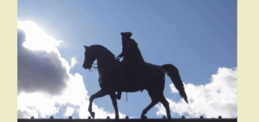 Fryderyk II Wielki: król Prus, zaborca Polski, przedmiot sporu i kultu : Postać Fryderyka II, zwanego Wielkim, a także dzieje relacji między Polską i Prusami mają dla polskich czytelników znaczenie szczególne. Fryderyk był jednym z pomysłodawców rozbiorów Polski, a zarazem jedna trzecia terytorium współczesnej Polski to ziemie leżące niegdyś w granicach Prus.