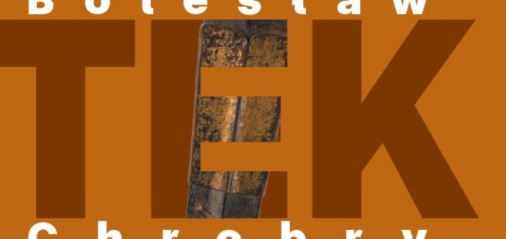 Bolesław Chrobry Konteksty : w przystępny sposób opisuje świat pierwszych Piastów. Pokazuje, że koronacja Chrobrego była zwieńczeniem długiego procesu budowania państwa i skutkowała wejściem Polski do wspólnoty łacińskiego Zachodu.