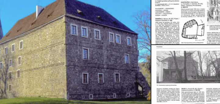 Encyklopedia Zamków Śląskich : Książka stanowi aktualne (do roku 2024, kiedy poddana została recenzji naukowej) kompendium wiedzy o śląskich zamkach i tym, co po nich zostało. Od wszystkich innych wydawnictw tego typu różni się uwzględnieniem całego historycznego Śląska w jego granicach z późnego średniowiecza, a zatem ze Śląskiem Czeskim.