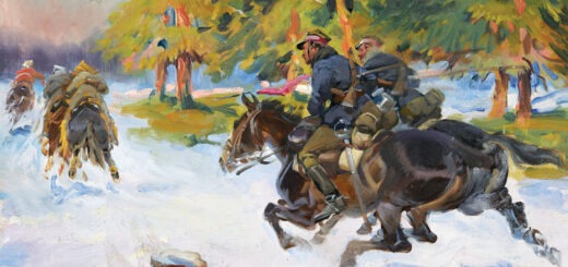 Bitwa na Białorusi 1 I - 26 VII 1920. Dokumenty operacyjne. Cz. III, 11 VI-26 VII 1920 (tom 1 i 2) : zawiera dokumentację, ukazującą najtrudniejszy okres wojny z sowiecką Rosją, od 11 czerwca do 26 lipca 1920 r., przebieg tzw. II ofensywy Tuchaczewskiego, w wyniku której wojska polskie odrzucone zostały znad Dźwiny i Auty, Berezyny i Dniepru na linię Niemna i Bugu.