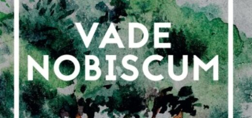 Vade Nobiscum : to cykliczna monografia, którą wydaje Studenckie Koło Naukowe Historyków UŁ. Niniejszy tom zawiera teksty będące pokłosiem dwóch wydarzeń: I Zjazdu Latającego Uniwersytetu Mediewistycznego oraz Ogólnopolskiej Konferencji Naukowej „Italia i jej dziedzictwo: historia, prawo i kultura”.