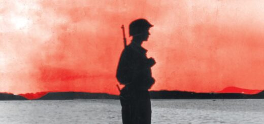 Polacy w Waffen-SS. Polskie Pomorze : W swojej ciekawej opowieści historyk przedstawia trudną wojenną rzeczywistość mieszkańców polskiego Pomorza, którzy stawali przed dramatycznym wyborem służby w Waffen-SS. Na ile był to przymus, a na ile ochotniczy zaciąg? Na to pytanie znajdziecie Państwo odpowiedź na kartach książki.