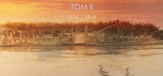Rzut okiem : Historia walk na rzekach tom II